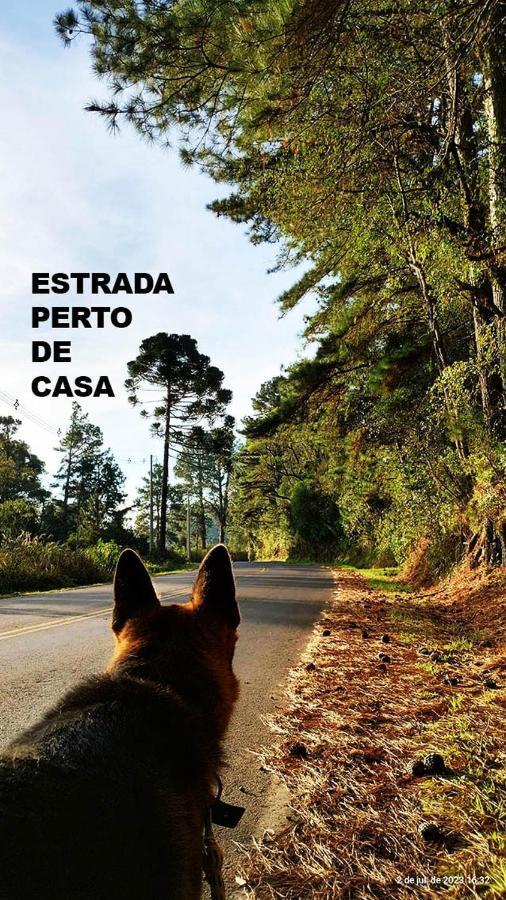 Suites Nas Nuvens Premium Gramado Eksteriør billede