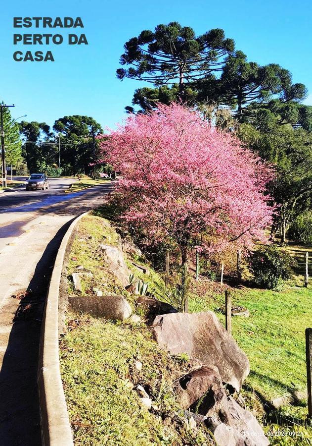 Suites Nas Nuvens Premium Gramado Eksteriør billede